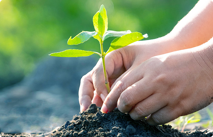 可持續(xù)發(fā)展